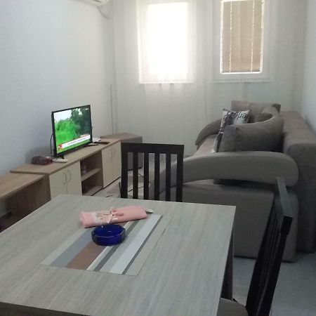 Apartman Jevtic 1 Gornja Toplica エクステリア 写真
