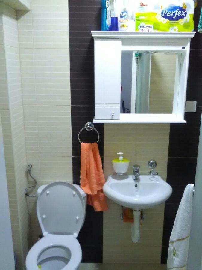 Apartman Jevtic 1 Gornja Toplica エクステリア 写真